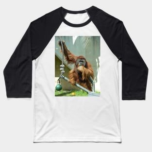 Orangutan Baseball T-Shirt